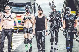 images?q=tbn:ANd9GcQOwMV3sU91yAjK2W4NfWvxD4FjNx-ACypAx4wIxVxPSYYRrRKiHdFSA6nPDehs6_s60fg&usqp=CAU