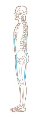 We did not find results for: Creating A Rock Solid Lower Back Pt 1