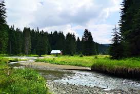 Potrivit specialistilor, izvorul curge neântrerupt de acum 2.000 de ani. Traseu Cheile ZÄnoagei Lacul Scropoasa Èi Cascada 7 Izvoare Blogul Meu De CÄlÄtor