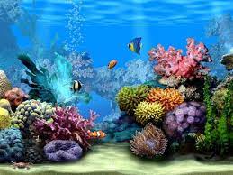 Free Animated Wallpaper Windows 8 Free Moving Desktop Wallpaper Aquarium Live Wallpaper Moving Wallpapers Sea Life Wallpaper