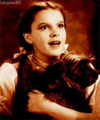 Wizard Of Oz Gif Find Share On Giphy Wizard Of Oz Wizard Of Oz Movie The Wonderful Wizard Of Oz