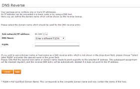 This Is How You Can Set A Custom Dns Reverse For Your Ip Addresses