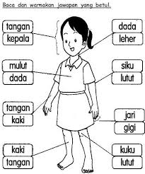 Terjawab • terverifikasi oleh ahli. Cydah Idah Cydah Idah Profile Pinterest