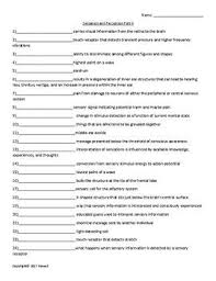 Sensation And Perception Part Ii Quiz Or Worksheet For Psychology Psychology Psychology Student Vocabulary Flash Cards