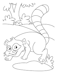 1500 x 2000 · jpeg. Chester Raccoon Coloring Page Coloring Home