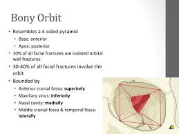 Study The Orbit Flashcards Quizlet