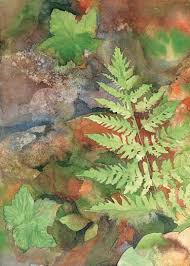 Taku Graphics Leslie Klaar Art Cards 5 Card Art Nature Art Prints Art