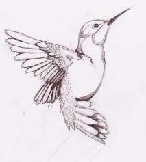 75 Easy And Cool Drawing Ideas For Beginners To Try Buzz Hippy Bird Sketch Humming Bird Sketch Bird Drawings