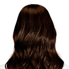 Scroll to bottom for updated pics. Dark Chocolate Brown Hair Color Bolzano Brown Hints Of Gold