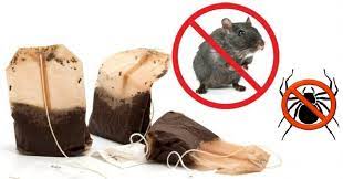 If You Use One Tea Bag You Will Never See Spiders Or Mice In Your House Again Getting Rid Of Mice Used Tea Bags Tea Bag