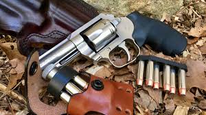 Image result for Grace Silver 1988 Colt