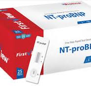 NT pro BnP Rapid Test