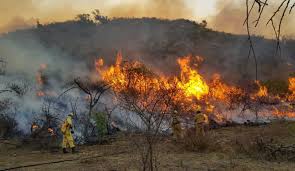 La situación meteorológica y el viento complicó las tareas de mas de 30 bomberos. Continua Activo Un Foco De Incendio En Cordoba Diario Hoy En La Noticia