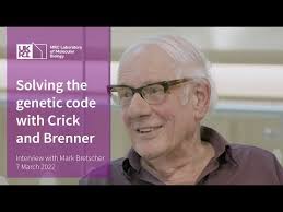 LMB Through the Years