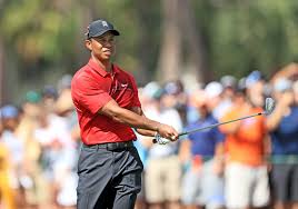 Tiger Woods Expectations Have Gone Up Following A Tournament And A Sunday In The Hunt Tiger Woods Golf Quotes Golf Tips For Beginners