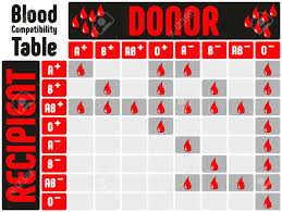 Blood Types Compatibility Table With All Blood Groups Positive