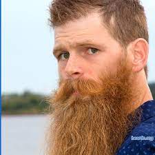 Beard Wade Beard No Mustache Ginger Beard Short Beard