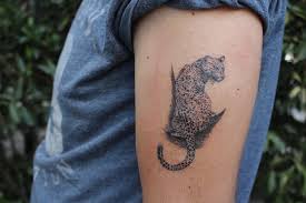 We did not find results for: Leopard Tattoo Leopard Tattoos Tattoos Wild Tattoo