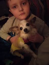 Lost dog near rest stop