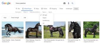 Hoe Met De Google Afbeeldingen Zoekfunctie Foto S Vinden Stockfoto S