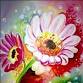 Summer Flowers