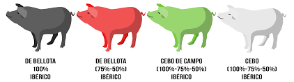 Tout Sur Le Jambon Serrano Iberica Pata Negra