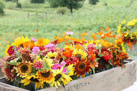 Order online or call 800.756.6023. The Red Feedsack Farm Fresh Flowers