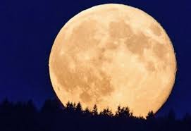 Second eclipse will be occurred on 19th november 2021. 26 De Mayo Eclipse Total De Luna Y Superluna De Las Flores