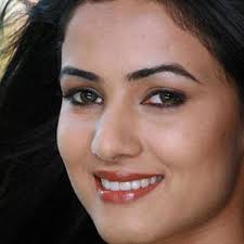 Sibling-Attack: Rethinking Transferable Adversarial Attacks Against Face  Recognition