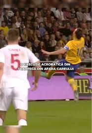 Image result for fotbal foarfeca