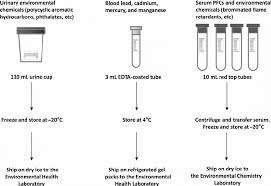 Specimen Collection And Transport Flow Chart For The Fox