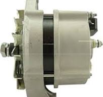 Amazon.com: New Premium Alternator Compatible with Thermo ...