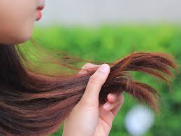 Maybe you would like to learn more about one of these? Best Foods To Eat For Healthy Hair And Nails