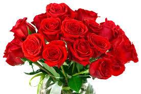 We did not find results for: Deliveries Flowers By Emily