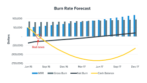 burn rate gross burn rate net burn rate negative net burn