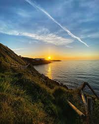 Eileen Nestor (@eileen_nestor)