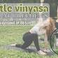 Outdoor yoga at Breeden's Orchard event in Mt. Juliet, TN