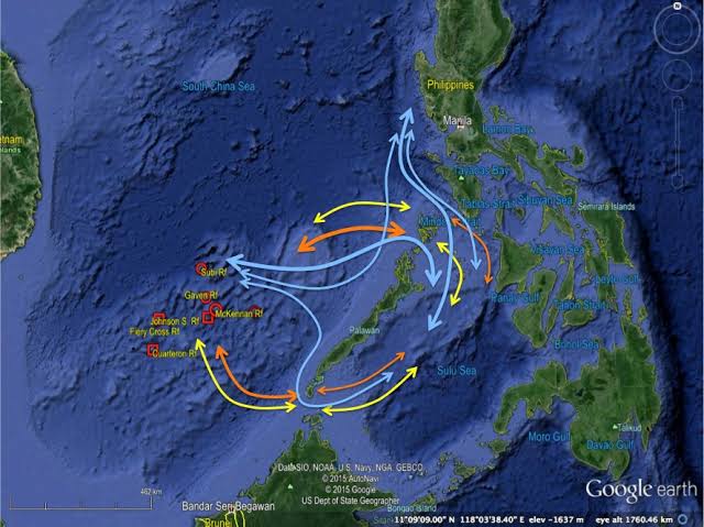 Environmental Aggression in the South China Sea | Asia Maritime  Transparency Initiative
