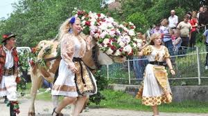 Medii de specialitate studii cerinţe faţă de candidat: SÄrbÄtoare Sfantul Gheorghe TradiÈii Èi Obiceiuri De Ce Nu Este Bine SÄ Dormi Èi Ce Se Face AstÄzi Pentru A Atrage Norocul