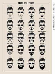 Beard Style Guide Poster Stock Illustration 15433721 Pixta