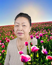 PRX » Piece » Pao Houa Her: Who Better To Tell Your Story Than You