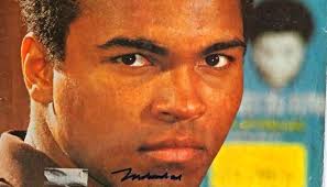 Stephen Tarnoczy BSRT, RRT-SDS, RPSGT, CCSH, FAAST