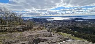 Her får du hjelpen du trenger og med vår smarte kryssordhjelper går søket lekende lett. Turartikkel Bilen Pa Service Og Jeg Pa Skogtur Skrevet Av Arvindeep Peakbook