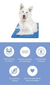This company has no sops or training material on how employees should do their job. Dog Cooling Mat Product Review Waggy Tales Dog Cooling Mat Your Dog Dog Training