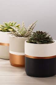 My best friend's wife got me interested in succulents. Concrete Succulent Planter Indoorplanter Concreteplanter Cement Modern Unique Plant Pot Diy Concrete Succulent Planters Planters