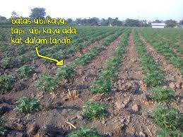 Artikel ini kami buat sebagai pondasi awal dalam menjawab pertanyaan dari para pengunjung melinweb mengenai keberadaan meteor terkait dengan. Korang Pernah Terfikir Tak Pembayang Dalam Pantun Sebenarnya Ada Makna Tersendiri Soscili