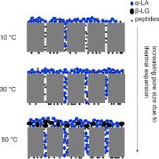 Skim pembiayaan deposit rumah pertama (mydeposit) adalah inisiatif kepada pembeli rumah pertama untuk memiliki kediaman mampu milik dengan memberi bantuan. Influence Of Processing Temperature On Flux Decline During Skim Milk Ultrafiltration Sciencedirect
