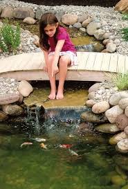 Petite Cascade De Jardin Pour Embellir L Espace Exterieur Jardin D Eau Cascade De Jardin Amenagement Jardin Bassin