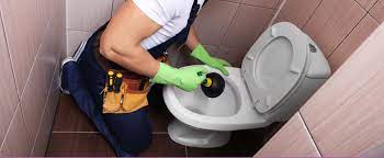 Deboucher un wc fosse septique. Comment Deboucher Des Toilettes Soi Meme Les Bons Tuyaux Homeserve