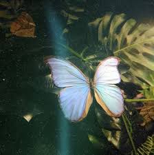 Pin On Ethereal